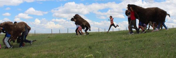 three groups of child running together through a field while holding a bison hide overtop of each group with another child running alongside them