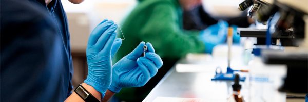 scientist works at the bench with slide and microscope