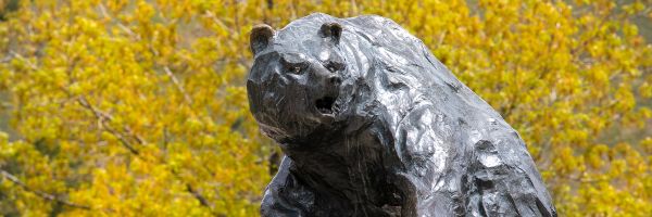 the head of the UM Grizzly statue with yellow autumn colored trees in the background