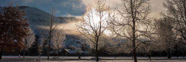 UM campus on a frosty winter morning with the sun shining through fog and clouds