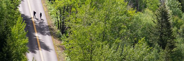 road going through dense woods seen from above with two people walking across it