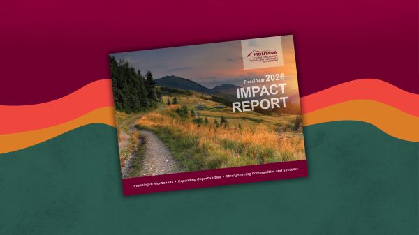 photo of impact report cover