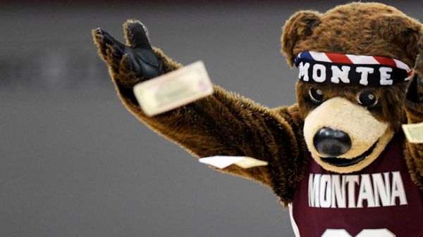 monte-money