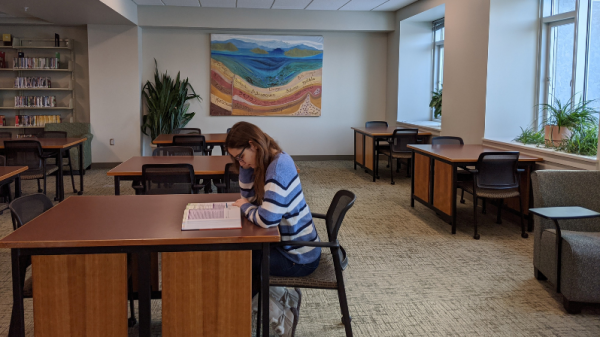 A student reads in the Payne Family Library