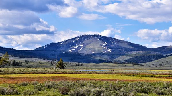 A picture of the Rocky Mountains with a wooden fence obstructing the view