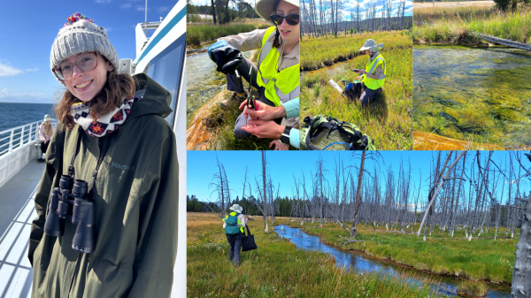 A series of photos showing Mikaela working next to the streams where her study system can be found.