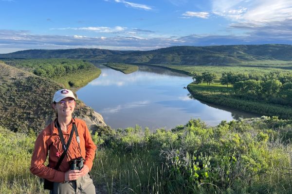 A graduate student researcher attaches a transmitter tag to a Swainson's Thrush
