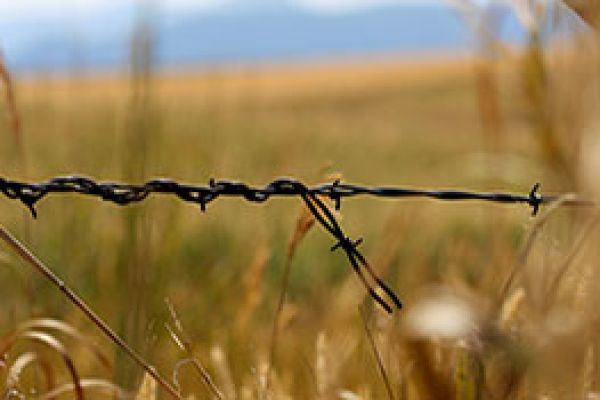 closeup of barbed wire strand in fence in front of a field