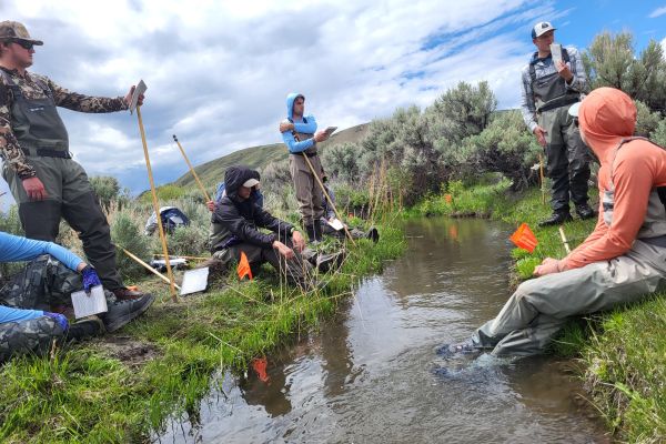 Five researchers stand around a stream collecting data.