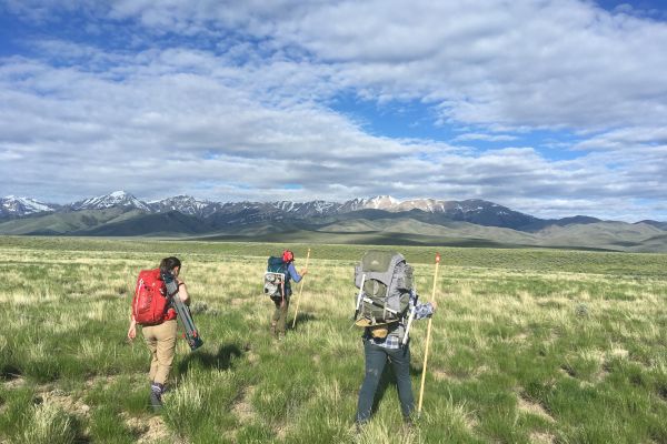 Three researchers wearing backpacks and hiking sticks walk through a prairie under the blue sky.