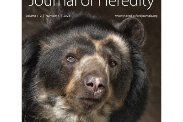 Schweizer et al. 2021