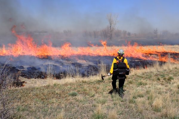 firefighter prescribed burn