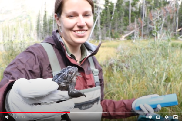 Leah holding a spotted frog