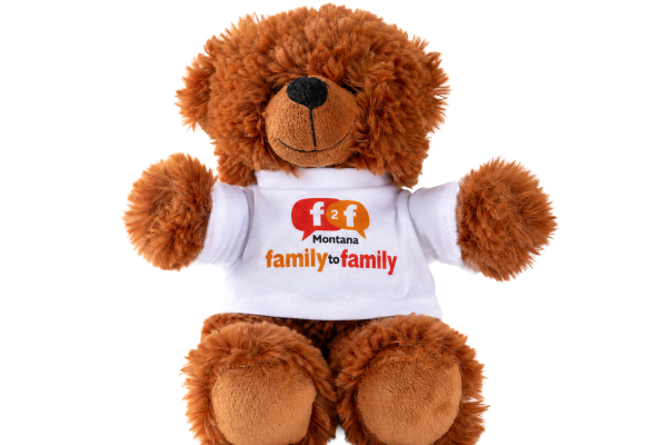 Provider Kit button with image of teddy bear