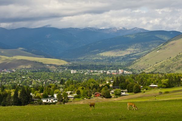Missoula landscape with deer and mountains