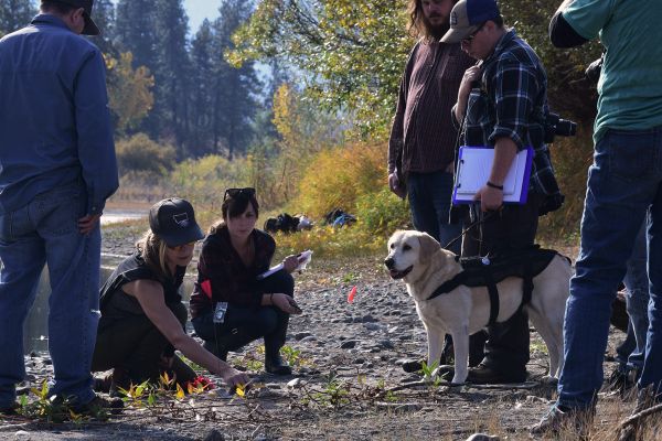 Kelly Dixon teaching students in the field