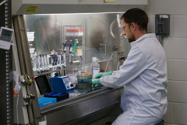 Kris Short working in a lab