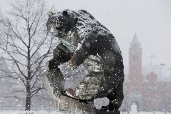 snowstorm on monte statue grizzly