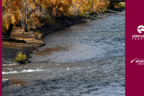 river confluence