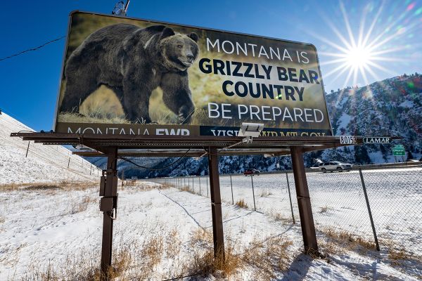 billboard describing Montana as Grizzly Country