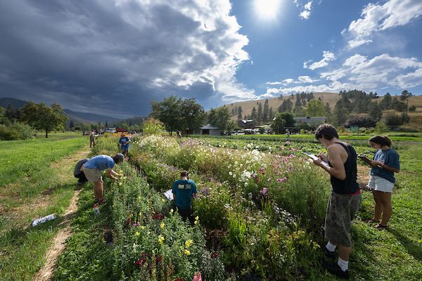 students garden at the peas farm