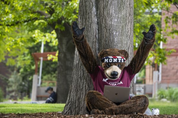 UM's mascot Monte excitedly using a laptop with his arms in the air