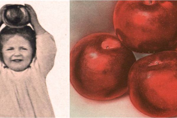 Child holding an apple above her head