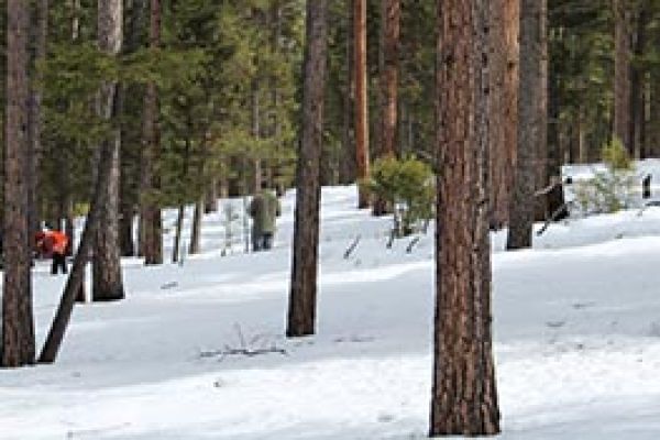ski trials