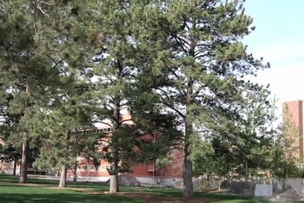 Name marker for Gerard Cornelissen