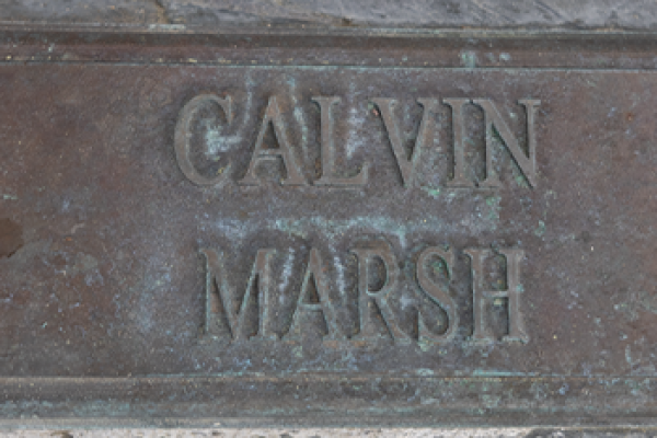Name marker for Calvin Marsh