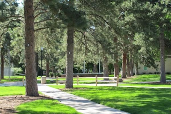 Tree image for Neil Joughin