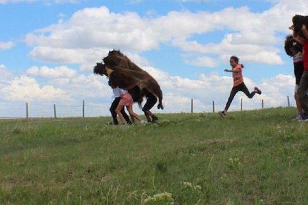 Children on the Blackfeet reservation dressed up in buffalo hide mimicking buffalo being chased on a buffalo hunt