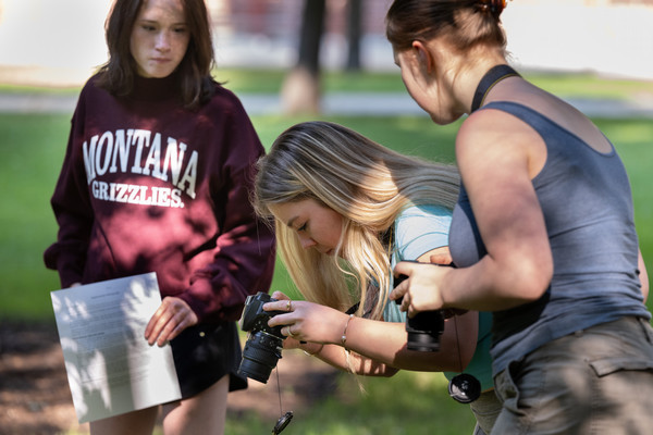 Students working and looking at something on campus 