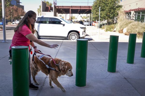 Woman with guide dog walking into a building