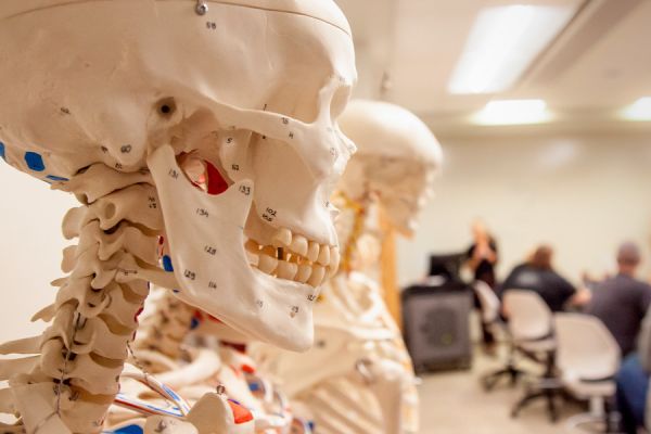 skeleton hanging in front of a class