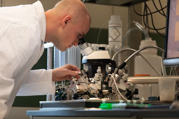 student examines cells through microscope