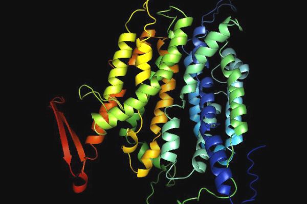 rainbow colored curly strands of biological protein