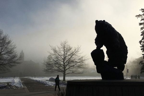 Griz Statue in Fog