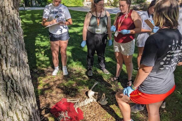 Group of students make observations of fake skeletal remains on ground.