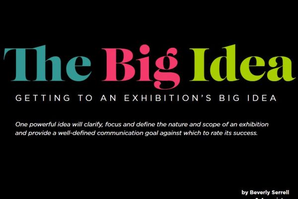 Cover of the Big Idea (book)