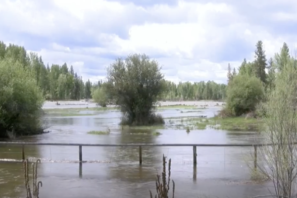 Bitterroot river when full or flooding, with a partially submerged fence