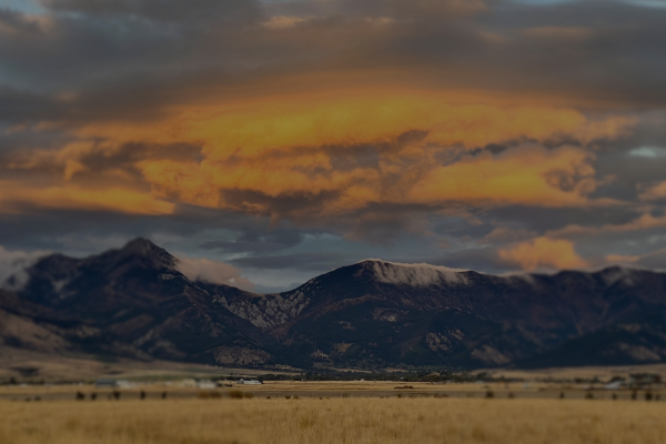 Icon with image of sun and thermometer. 