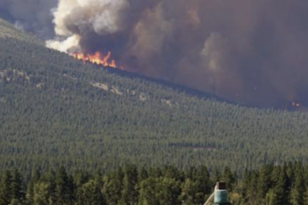 Wildfire on hillside
