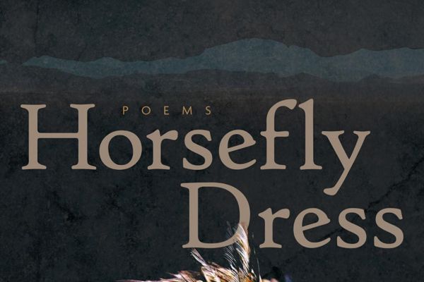 Cover of Heather Cahoon's book, Horsefly Dress