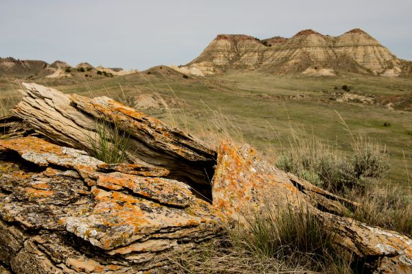 Eastern Montana Report Cover