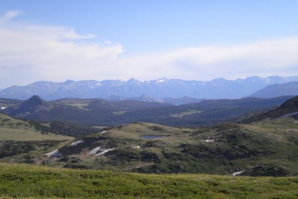 Resident Report Beartooths