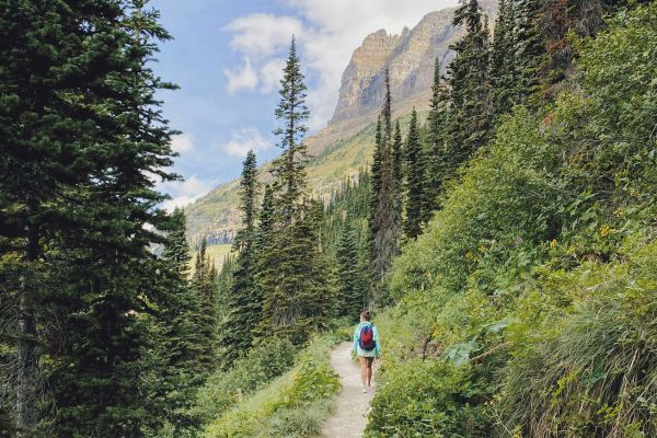 Full Data Summary Hiking Glacier
