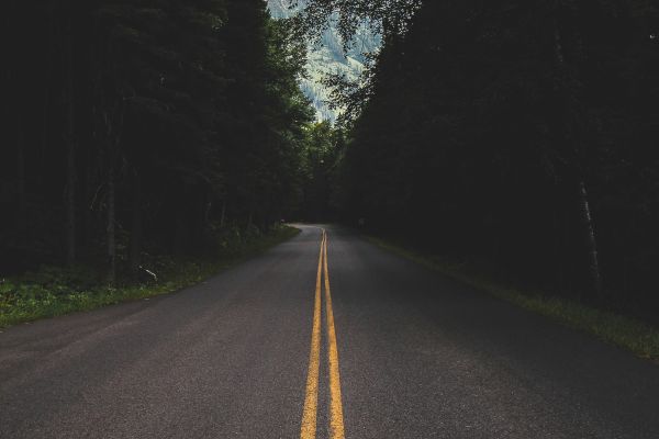 Resident Report Going to the Sun Road