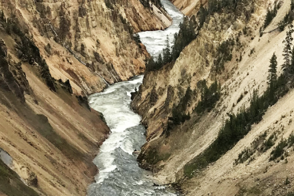 Impacts and Insights: Assessing the Aftermath of Yellowstone’s 500-Year Flood in Montana Cover Image