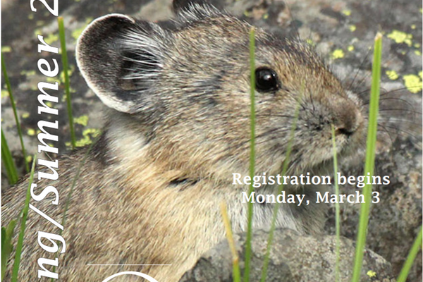 Winter MOLLI Catalog